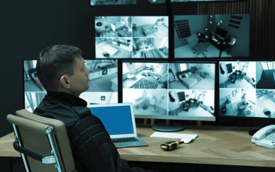 Smart Camera Security for Small Business: Are Your Smart Cameras Spying On You?